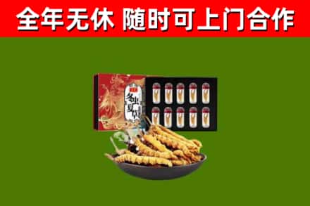 南投回收冬虫夏草价格